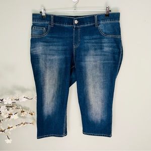 Lane Bryant Denim Capri Pant Size 20